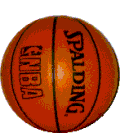 spinbball.gif (23581 bytes)